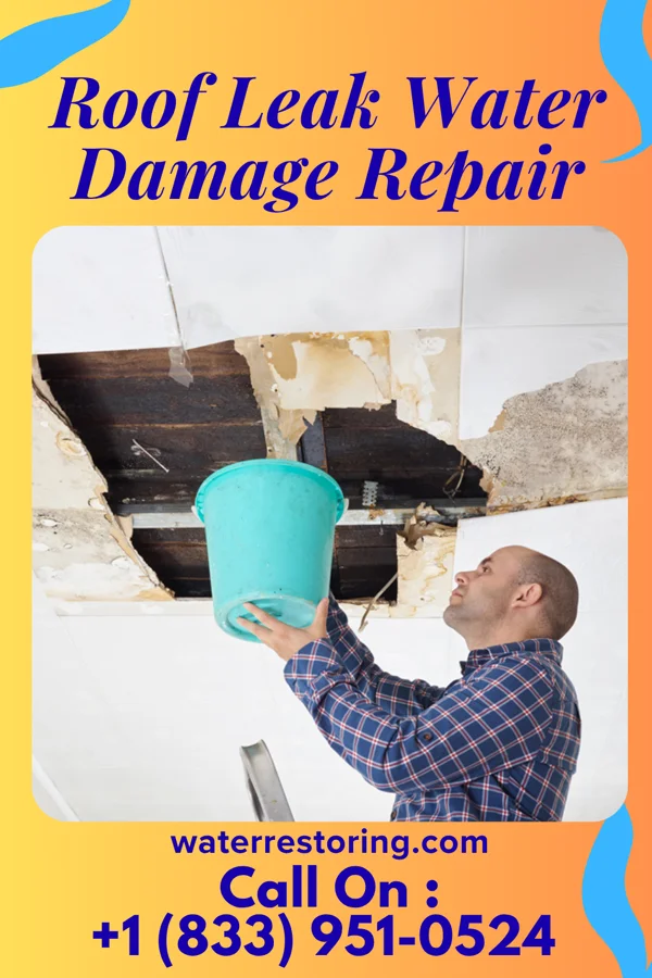 Roof Leak Water Damage Repair in Winnsboro, TX